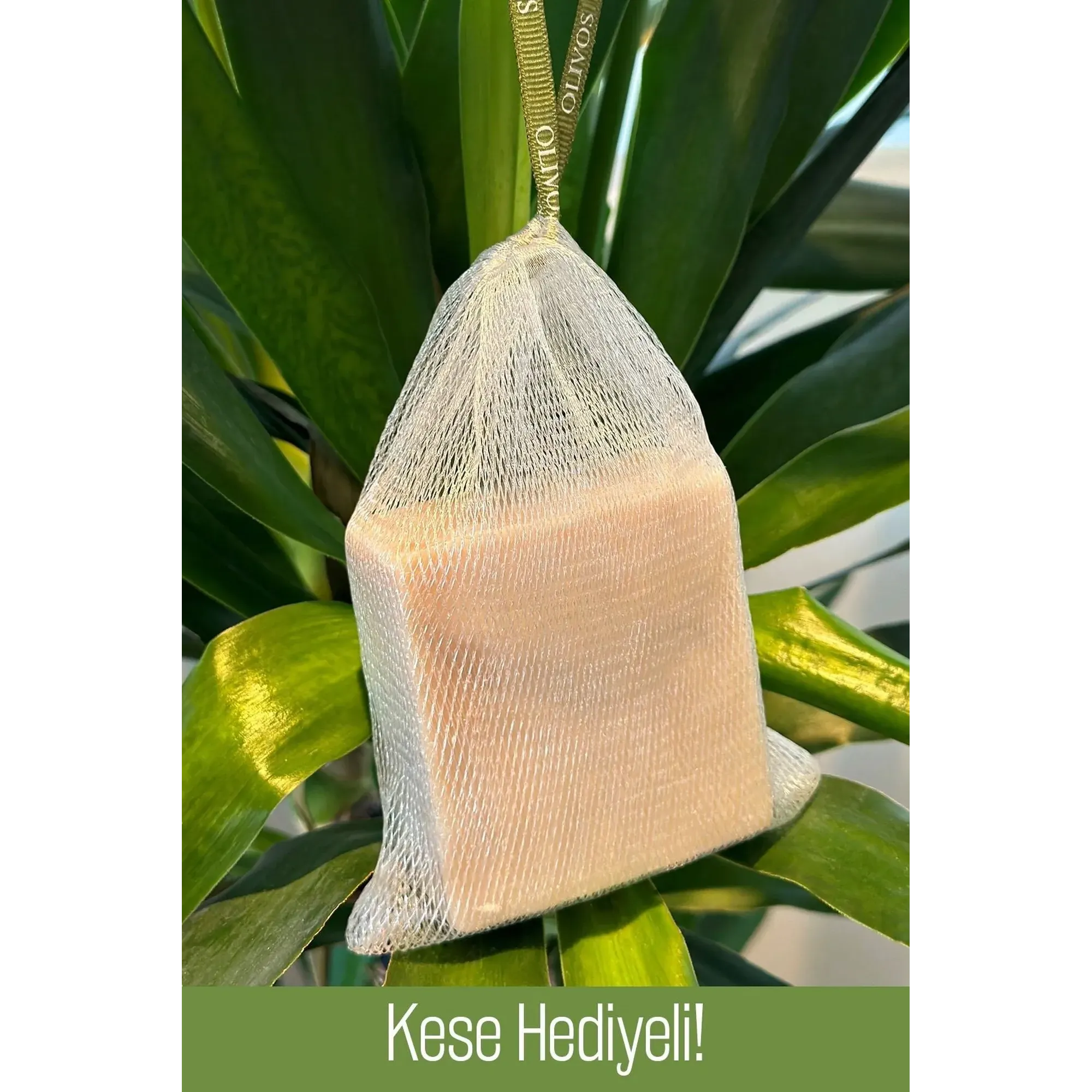 Olivos Donkey Milk Olive Oil Soap, 4 × 5.29 oz.