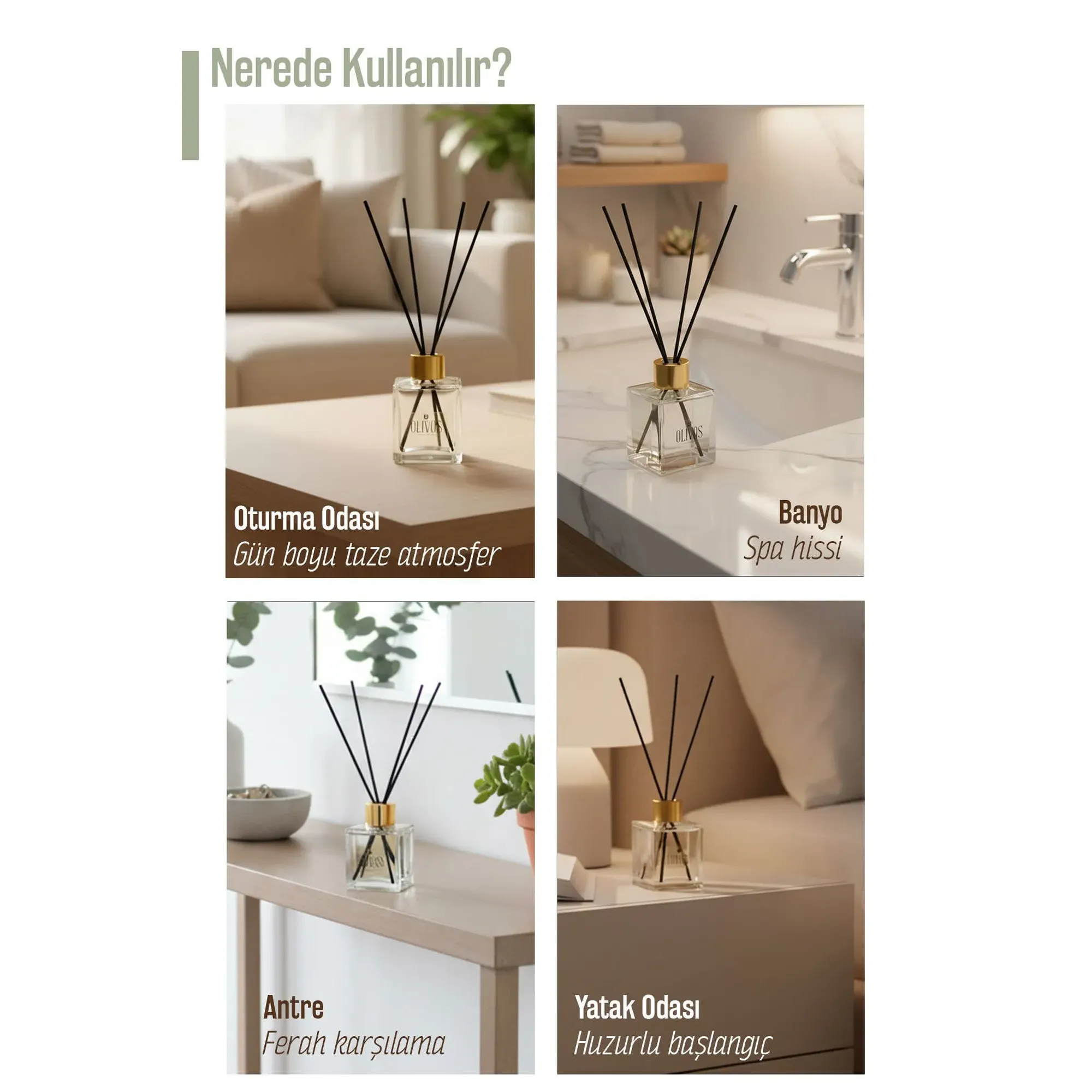 Olivos Arcadian Grove Fig Reed Diffuser, 3.38 fl. oz.